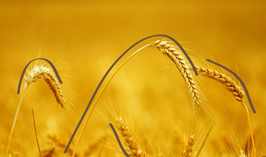 谷往今来系列一